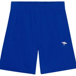 Adian Shorts Reef Blue>Molo Clearance