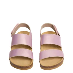 Agostino Sandaler Rosa><noscript><img width=