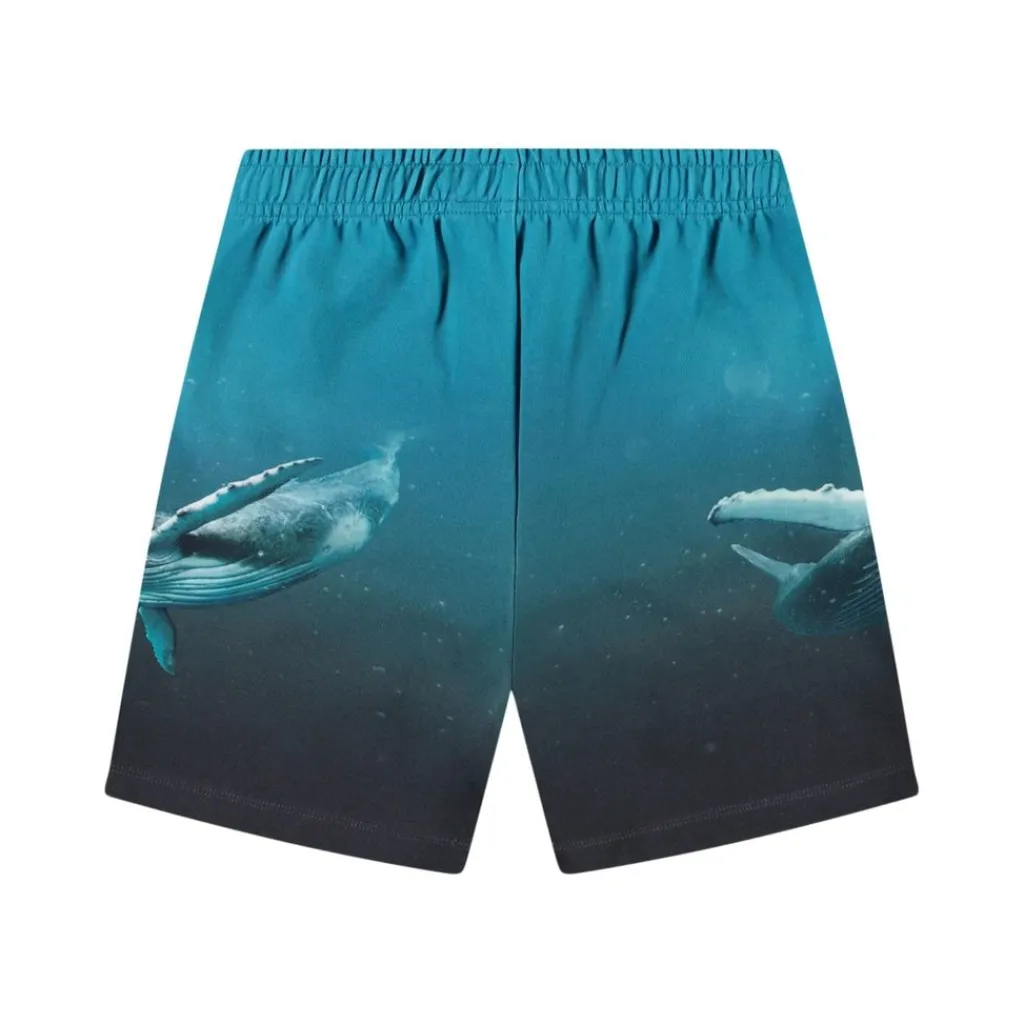 Amil Soft Pants Whale Dive>Molo Outlet