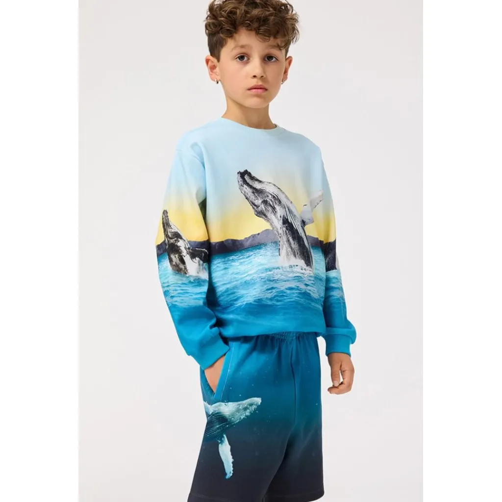 Amil Soft Pants Whale Dive>Molo Outlet