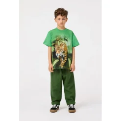 Amor Shorts Rubber Tree><noscript><img width=