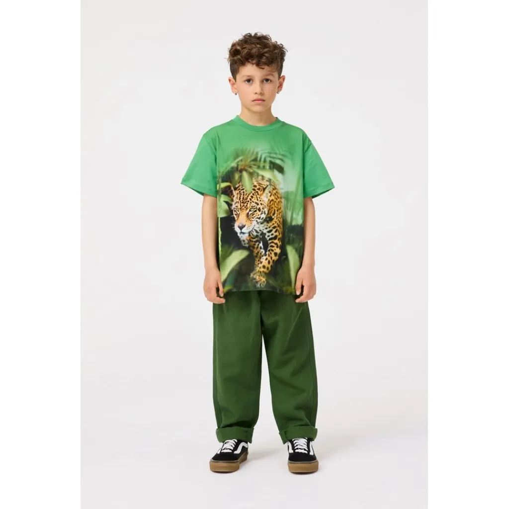 Amor Shorts Rubber Tree>Molo Best