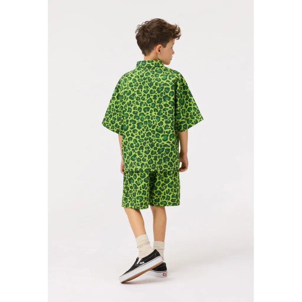 Avart Shorts Jaguar Green>Molo Online