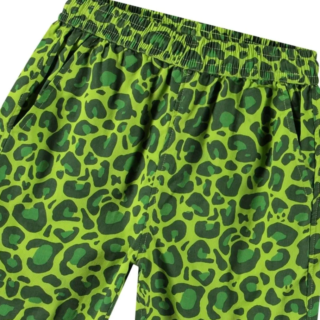 Avart Shorts Jaguar Green>Molo Online