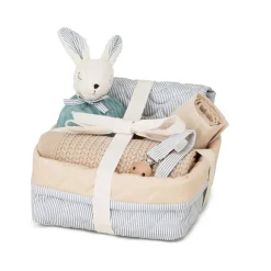 Babyshower Presentkorg Classic Stripes Blue>Cam Cam New