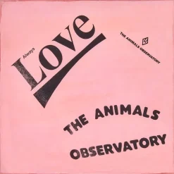 Blanket Filt Pink>The Animals Observatory Hot