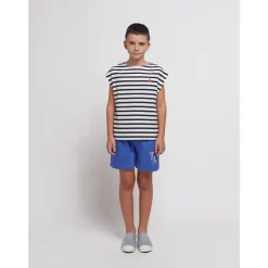 Blue Stripes><noscript><img width=