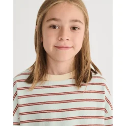 Stripes Långärmad T-shirt Light Blue><noscript><img width=