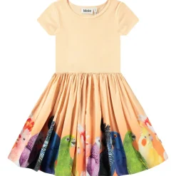 Cissa Short-Sleeved Dress Rainbow Parrots>Molo Sale