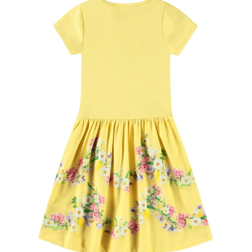 Cissa Short-Sleeved Dress Garlands>Molo Online