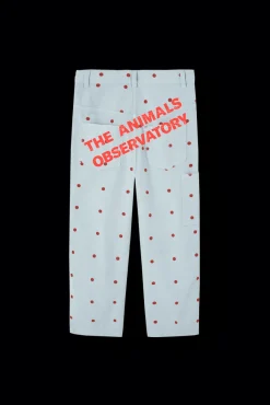 Condor Byxor Blue>The Animals Observatory Online