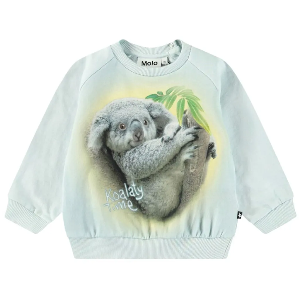 Disc Koalaty Time>Molo