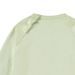 Disc Misty Green><noscript><img width=
