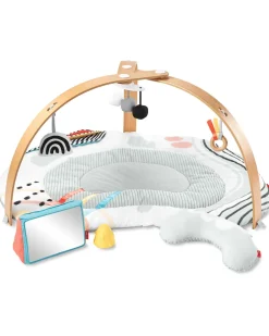 Discoverosity Babygym>Skip Hop Clearance