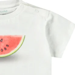 Enzo Melon Smile><noscript><img width=