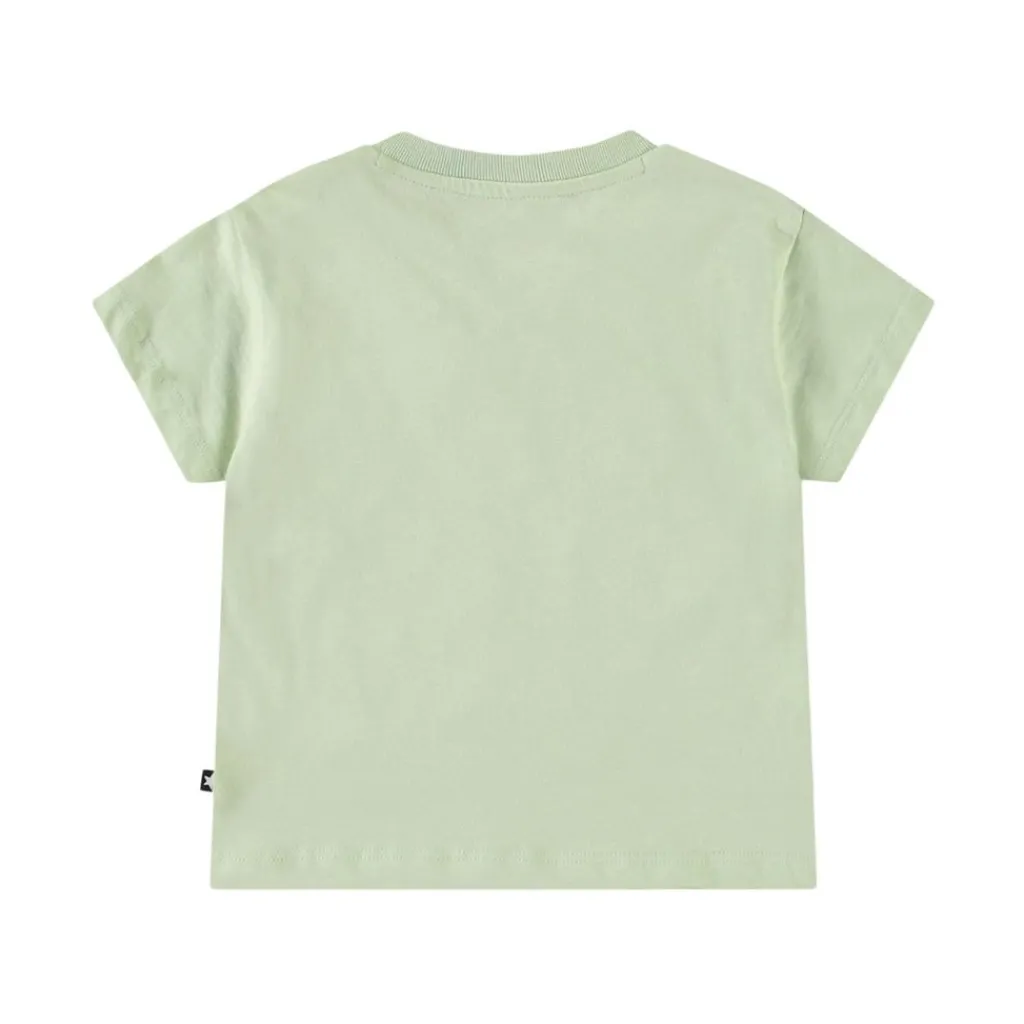 Enzo Misty Green>Molo