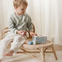 Formsorterare Skogens Vänner FSC Blå><noscript><img width=