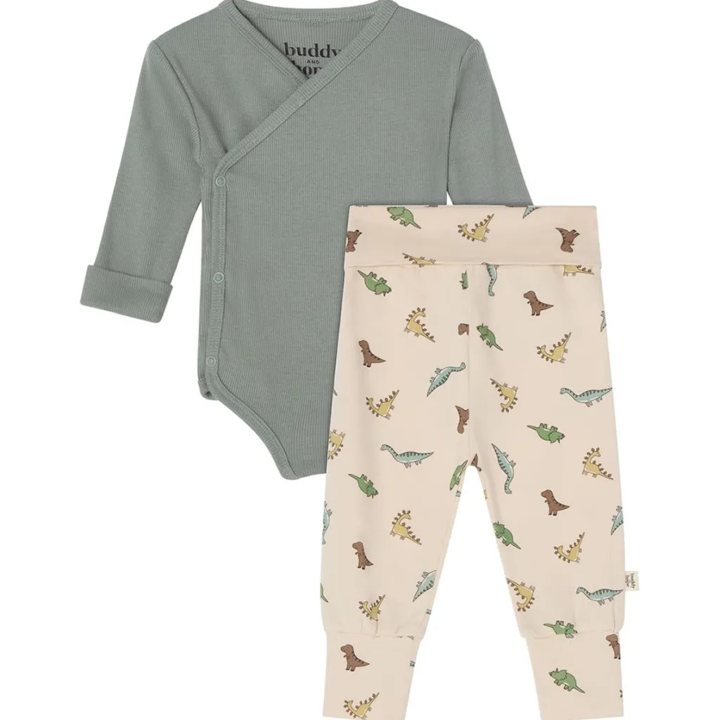 GOTS Johan Nyfödd Set Dinosaur>Buddy & Hope Discount