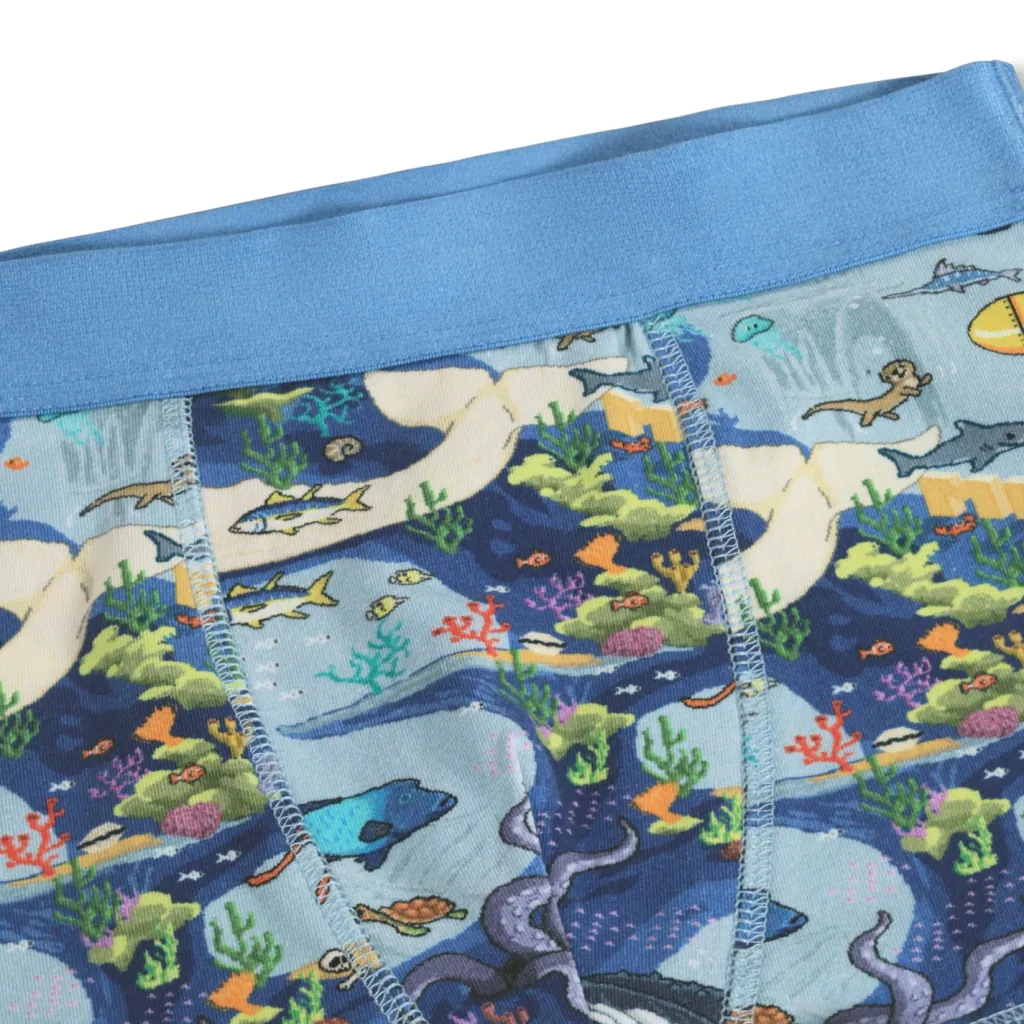 GOTS Justin 2-pack Boxershorts Pixel Sea>Molo Outlet