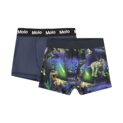 GOTS Justin 2-pack Boxershorts Dino Galaxy>Molo Hot