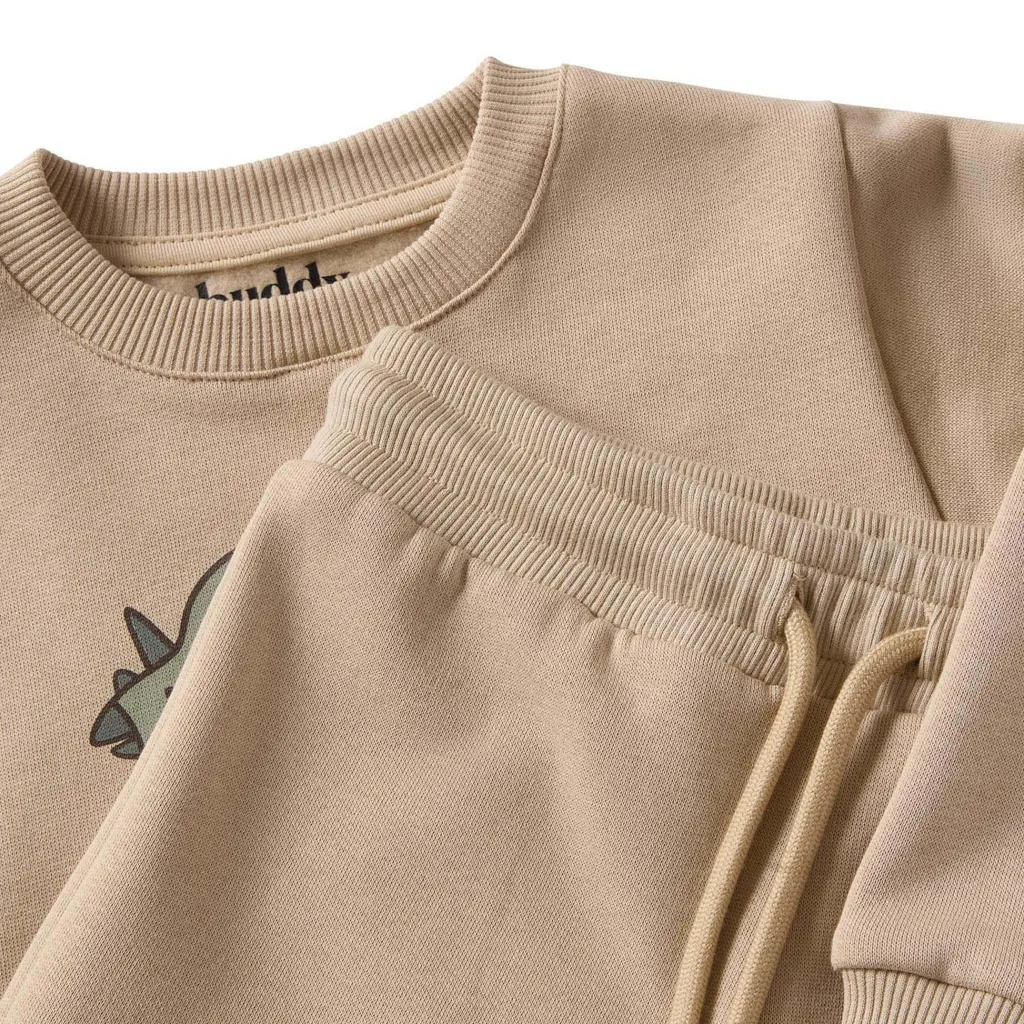 GOTS Martin Sweatshirt Set Green Dino>Buddy & Hope