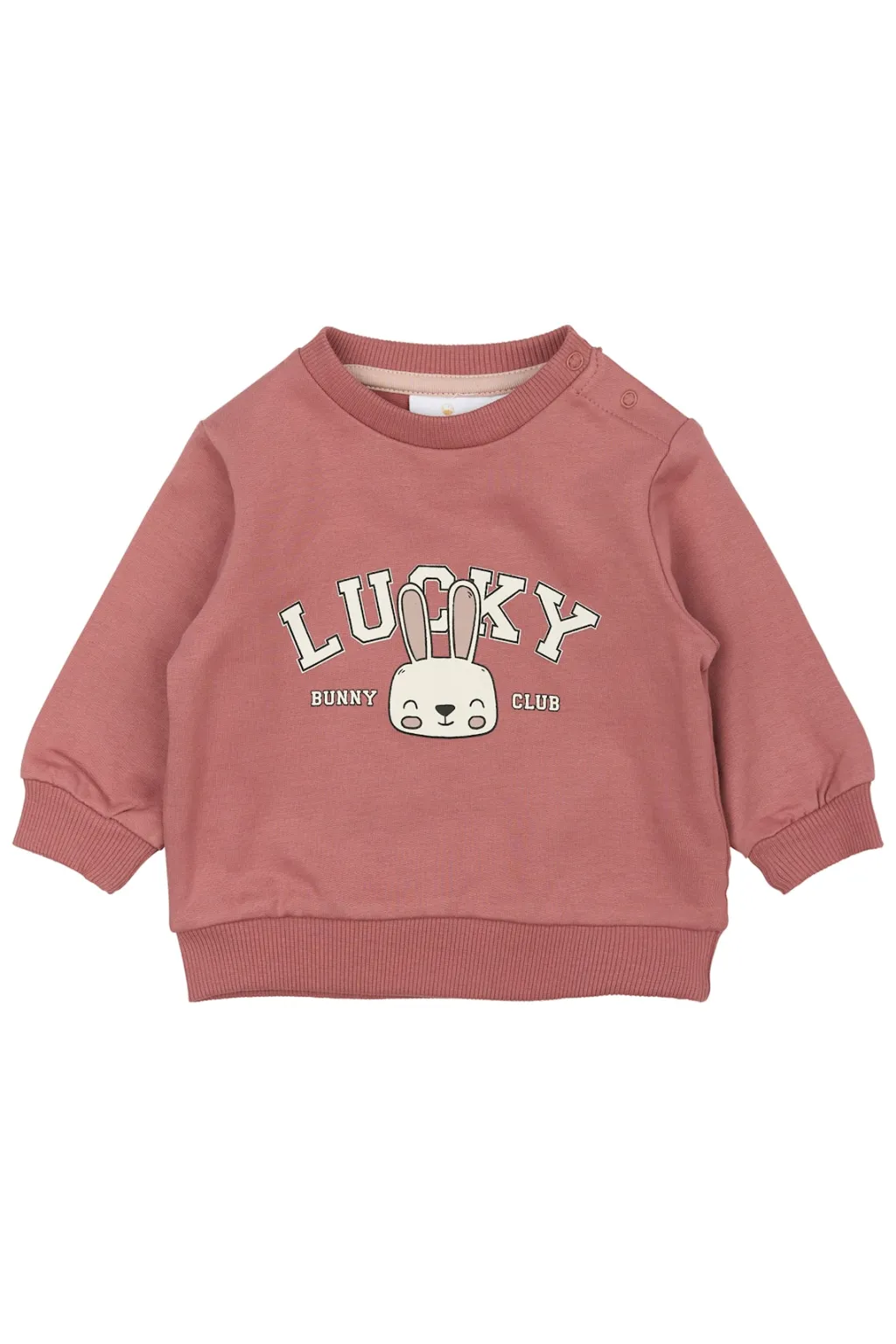 GOTS Pheba Sweatshirt Withered Rose>The New Siblings Sale