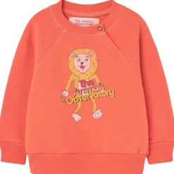 Jackal Baby Sweatshirt Salmon>The Animals Observatory