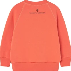 Jackal Baby Sweatshirt Salmon>The Animals Observatory