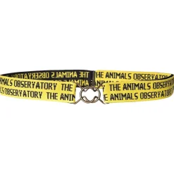 Lovebird Skärp Gult>The Animals Observatory Sale