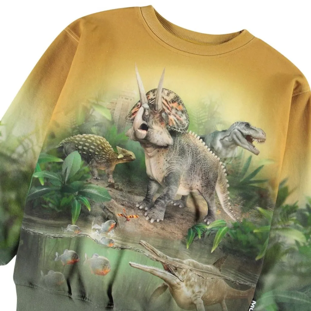 Mattis Sweatshirt Forest Dinos>Molo Clearance