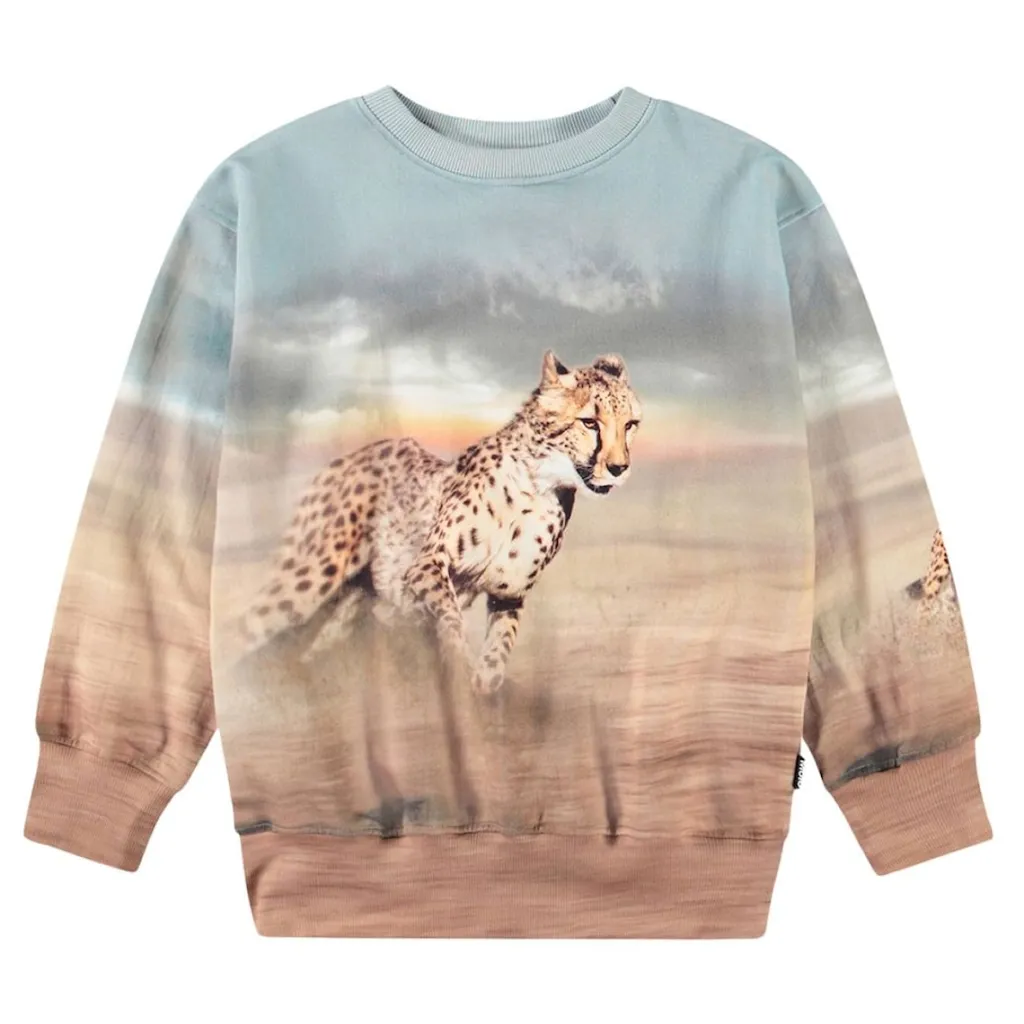 Mattis Sweatshirt Running Cheetahs>Molo Hot