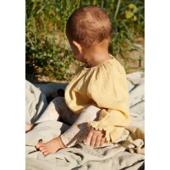 Merle Blus Pale Apricot>Wheat Online