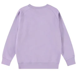 Mike Sweatshirt Violaceous>Molo Sale