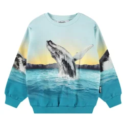 Monti Sweatshirt Whale Jump>Molo Hot
