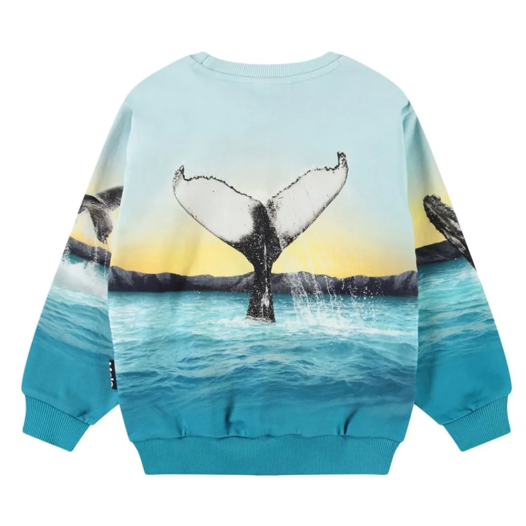 Monti Sweatshirt Whale Jump>Molo Hot