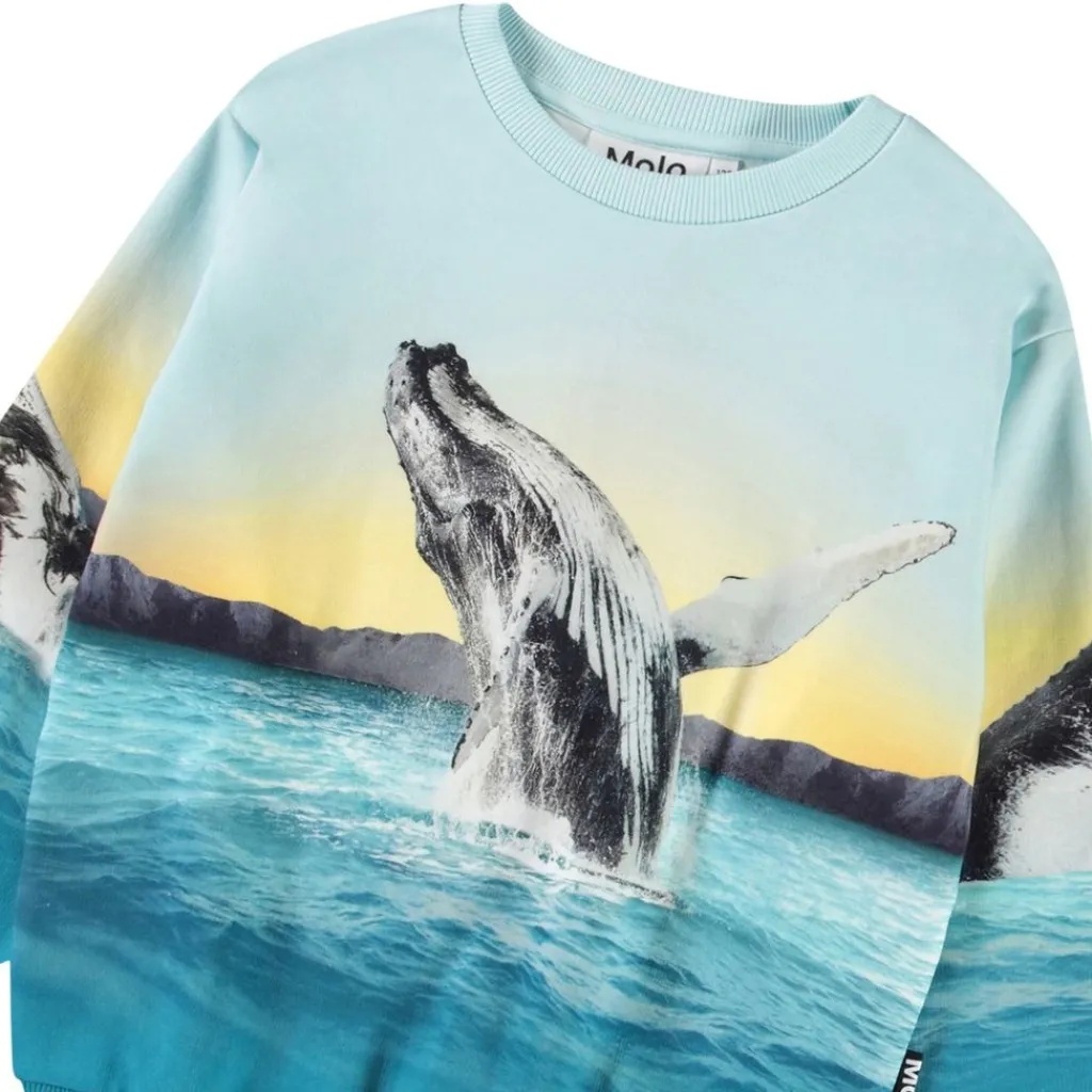 Monti Sweatshirt Whale Jump>Molo Hot