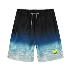 Neal Boardshorts Faded Ocean>Molo Online