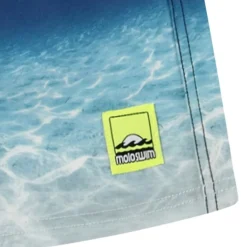 Neal Boardshorts Faded Ocean>Molo Online