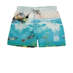 Niko Badbyxor Sealion>Molo Outlet