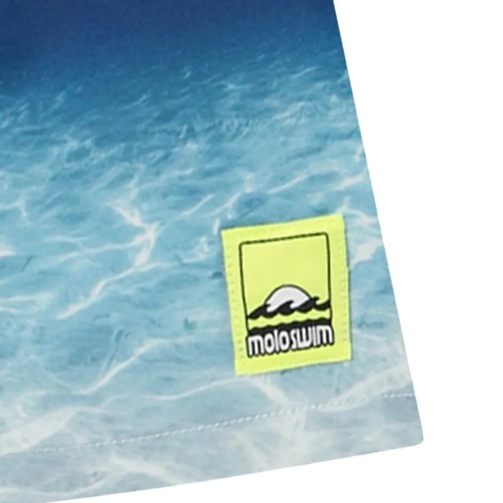 Niko Boardshorts Faded Ocean>Molo Discount