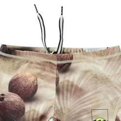 Norton Trunk Coconuts><noscript><img width=