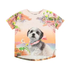 Raeesa Short Sleeve T-Shirt Festivalgoers>Molo New