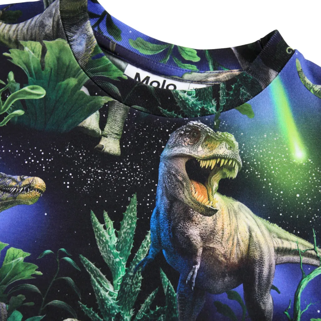 Ralphie T-shirt Dinorama>Molo New