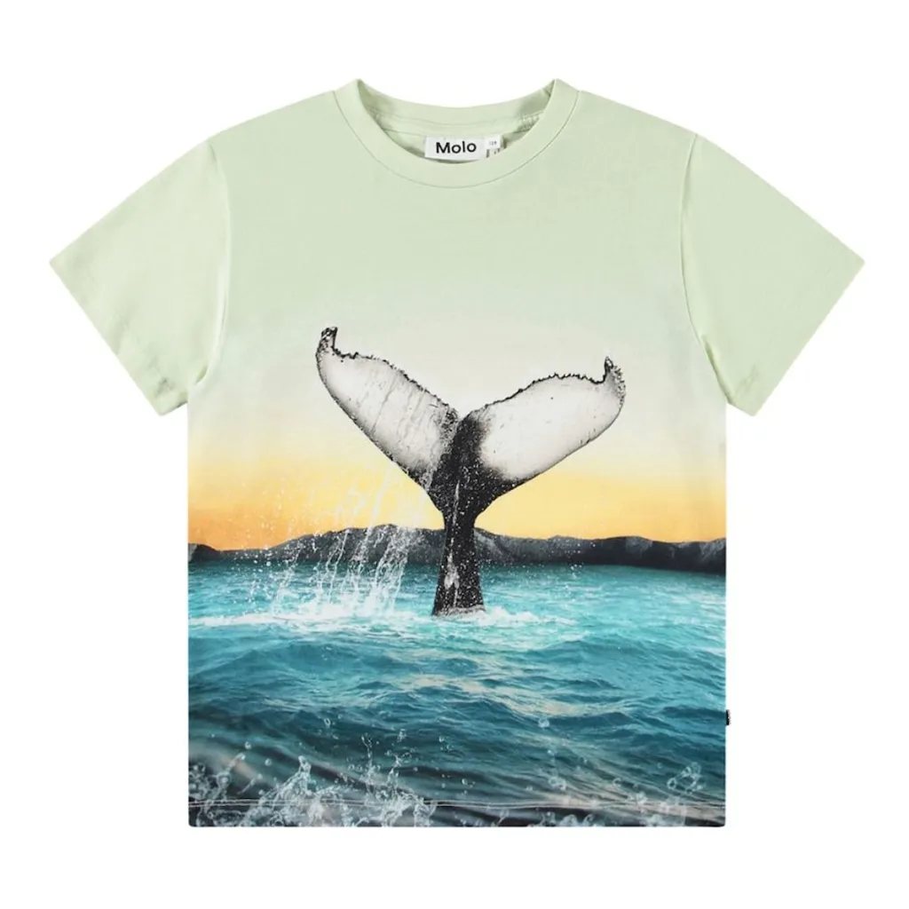 Rame Short Sleeve T-Shirt Whale Tail>Molo