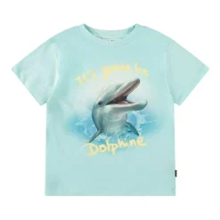 Rame Short Sleeve T-Shirt Dolphine>Molo Hot
