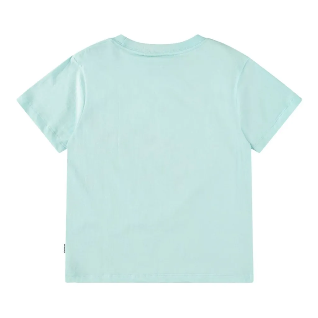 Rame Short Sleeve T-Shirt Dolphine>Molo Hot