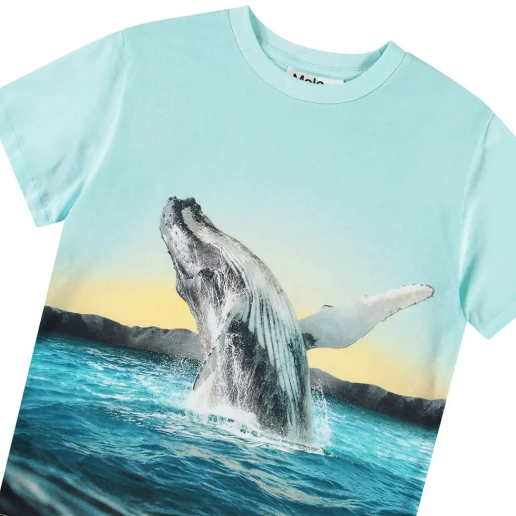 Rame Short Sleeve T-Shirt Whale Jump>Molo