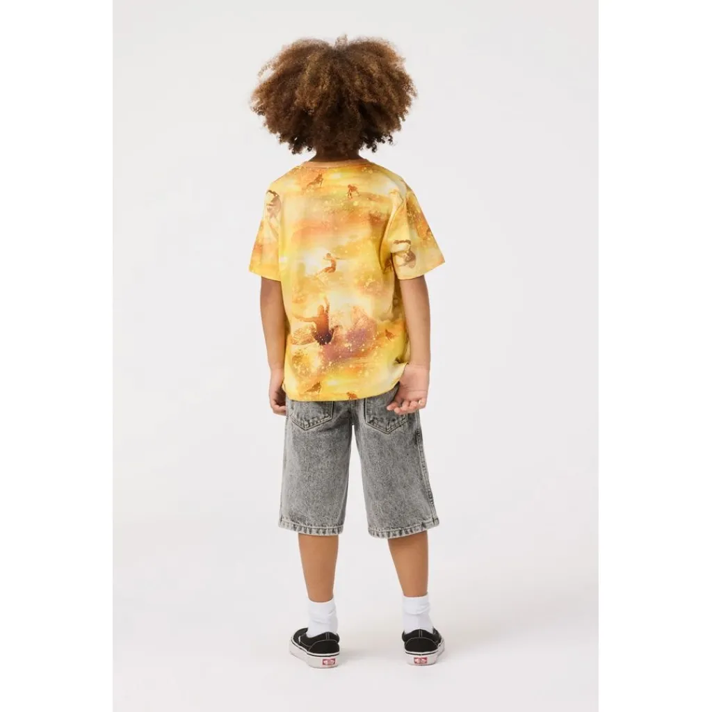 Riley Short Sleeve T-Shirt Golden Surfers>Molo Sale