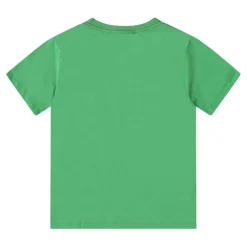 Riley Short Sleeve T-Shirt Jungle Dinos>Molo