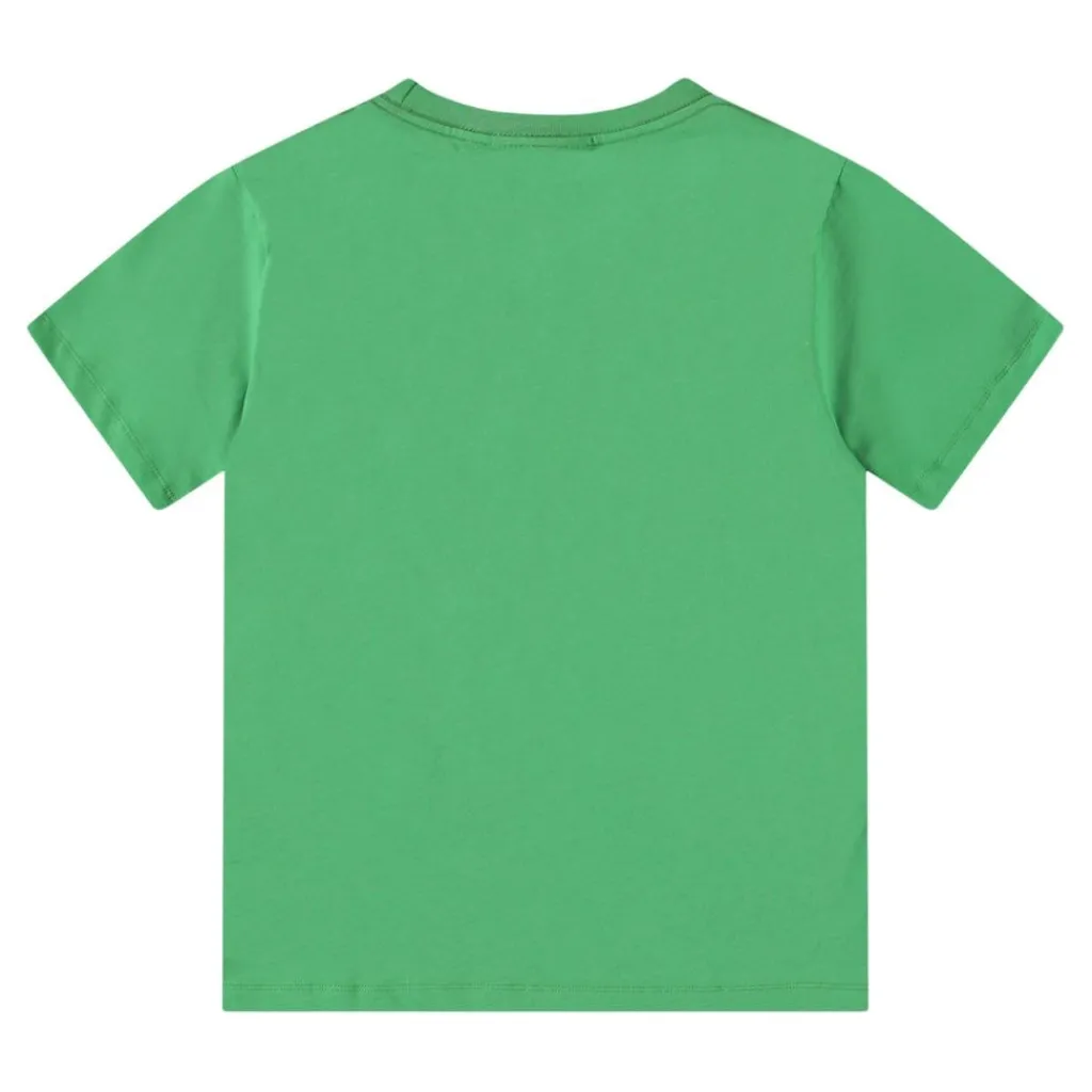 Riley Short Sleeve T-Shirt Jungle Dinos>Molo